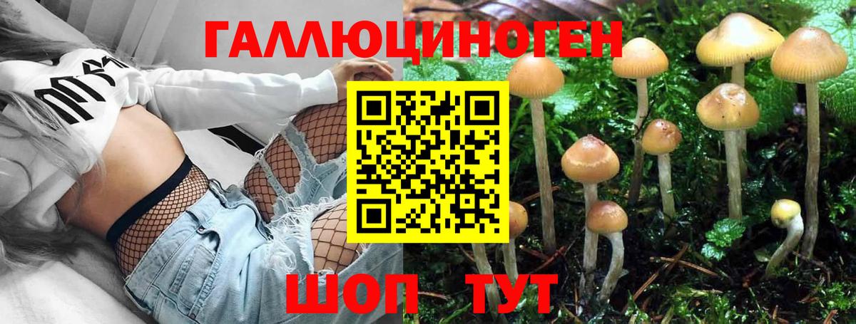 Галлюциногенные грибы Magic Shrooms Владикавказ