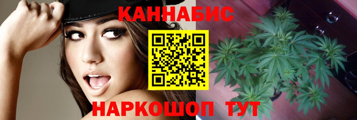 Марихуана ГИДРОПОН Владикавказ